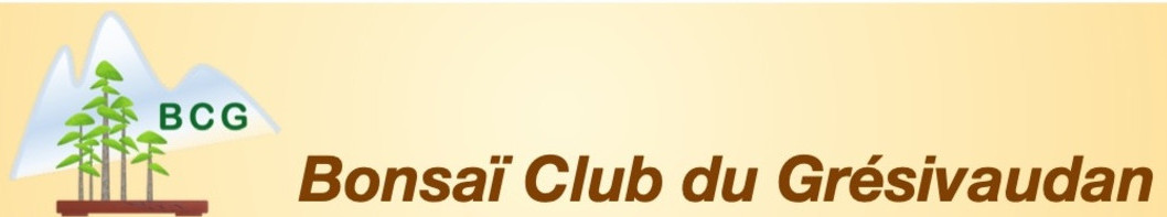 bonsai club du gresivaudan