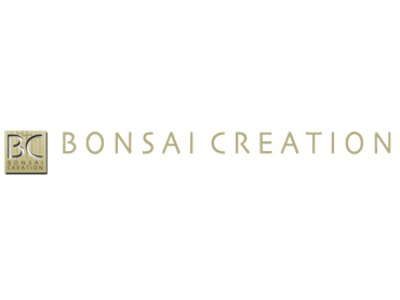 Bonsai-création