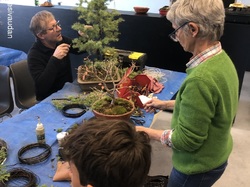 Atelier bonsaï  par Léo Di Mario (GINMOKU BONSAI)