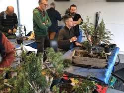 Atelier bonsaï  par Léo Di Mario (GINMOKU BONSAI)